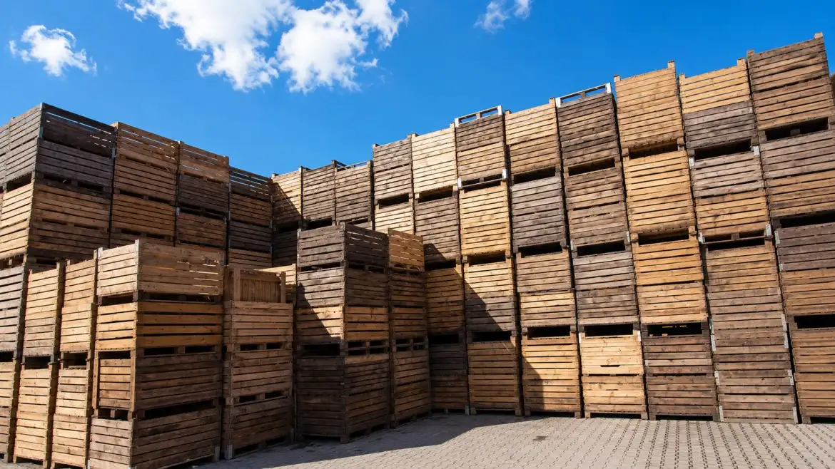 Pallet & Packaging Industry